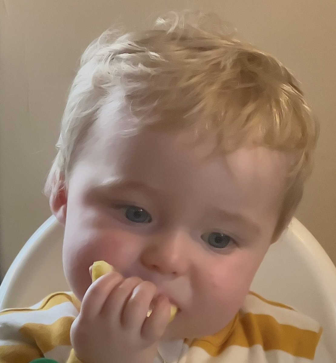 garycollo's tweet photo. Remember people when life gives you lemons 🍋 https://t.co/dsN4ypPugA