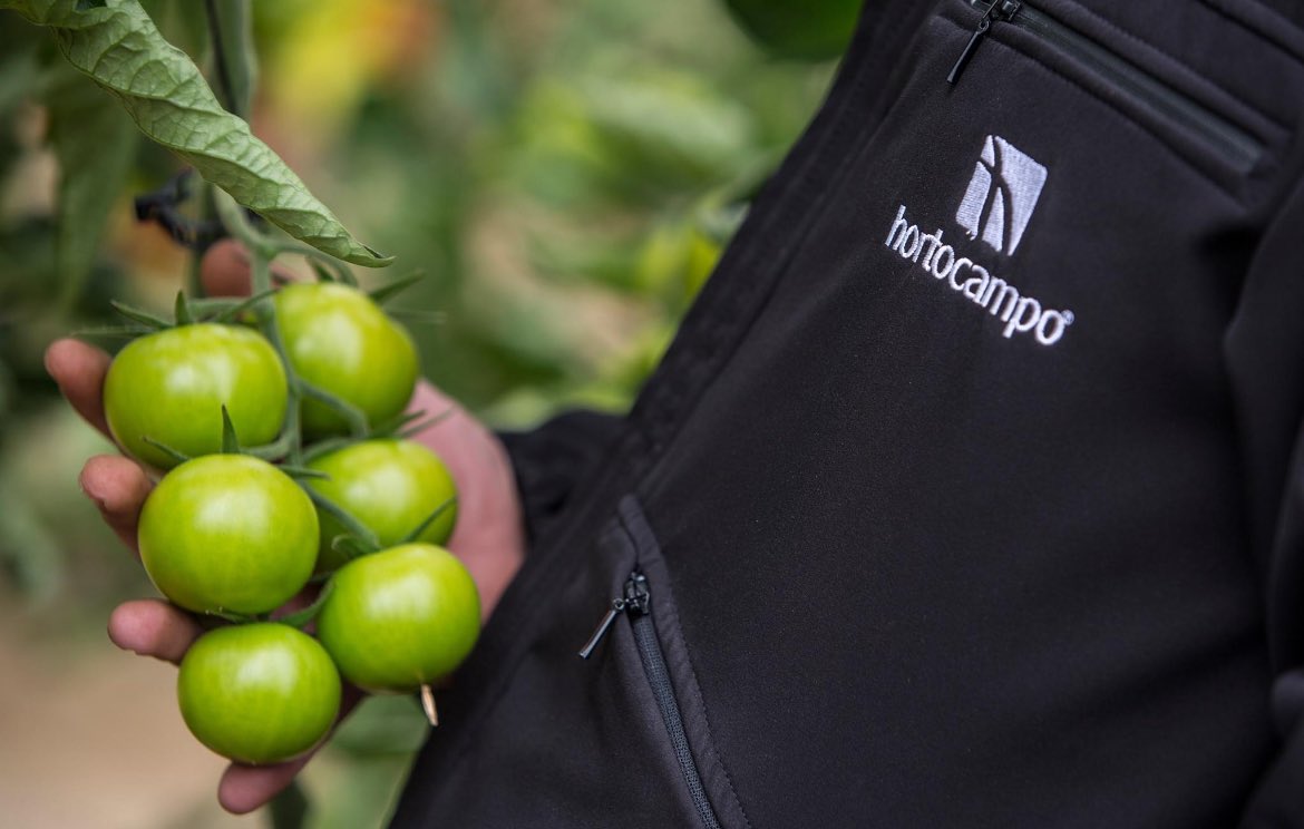 🧑‍🌾Nuestro equipo de asesoramiento técnico #agrícola trabaja siempre para aportar el máximo valor a nuestros clientes.
Y a sus cultivos.

Ofrecemos un asesoramiento técnico #agrícola personalizado, asesorando en cada toma de decisiones a nuestros clientes.
#agricultura #agricultor