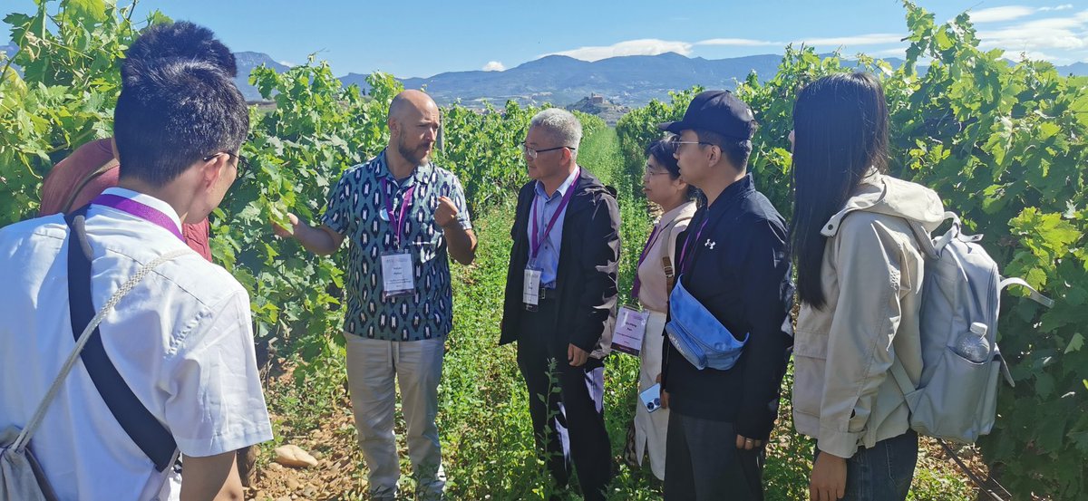 José Tomás Matus tweet media