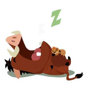 Daaniel_ve's tweet photo. Primera parada.      A dormir https://t.co/itmwBJ9hMX