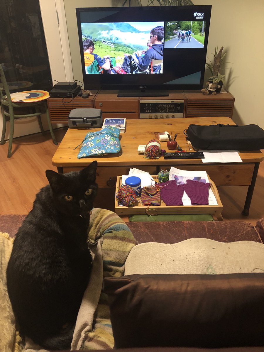 piggiespower's tweet photo. #tourcat had left the #couchpeloton for the #bedpeloton but is now back at the #couchpeloton ready for the first sprint. Mitts finished and sock knitting going well #tourcraft Hoping for some more breakaways tonight 🤞🏽#sbstdf https://t.co/cGHVcXbb2W