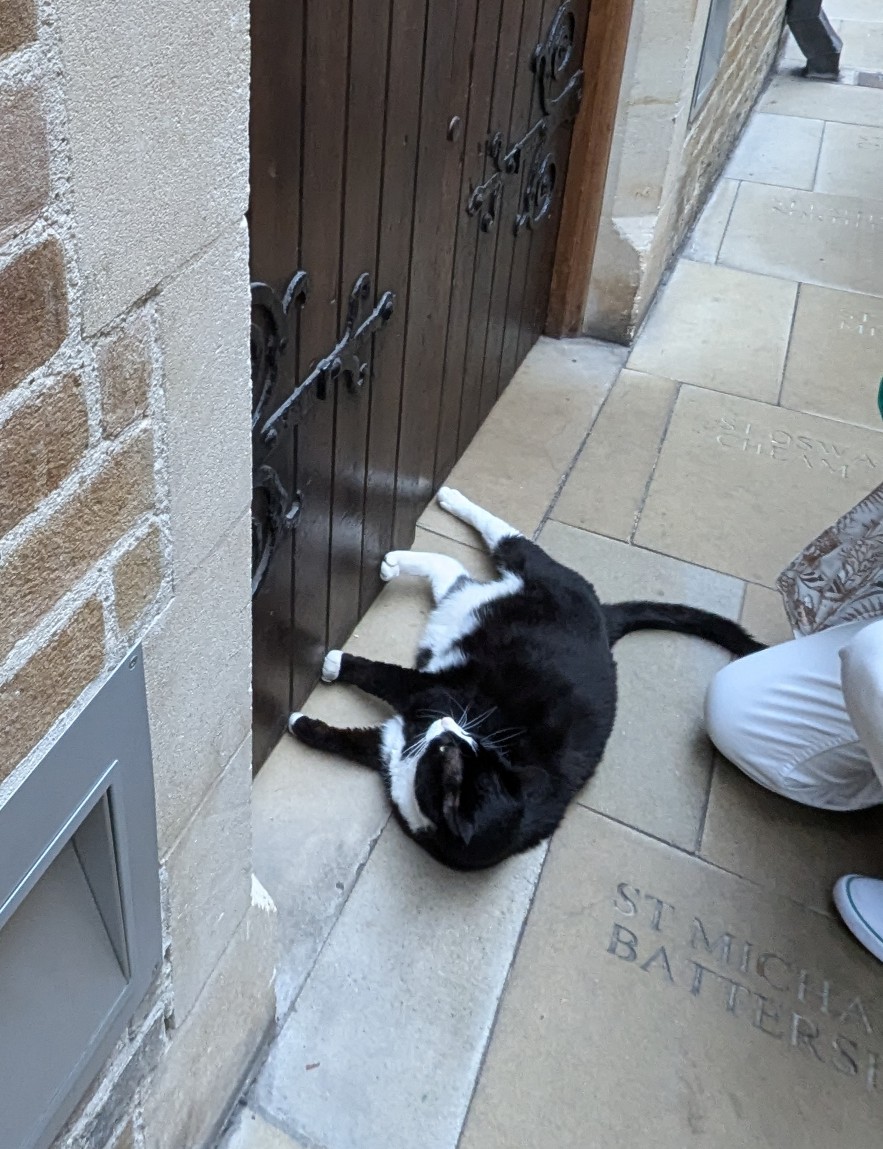 It would be sad to come to <a href="/Southwarkcathed/">Southwark Cathedral</a> &amp; not spot <a href="/HodgeTheCat/">Hodge</a> - happily he was right in my path, gloriously handsome  then engaging  the crowd of new and old fans that quickly surrounded him.