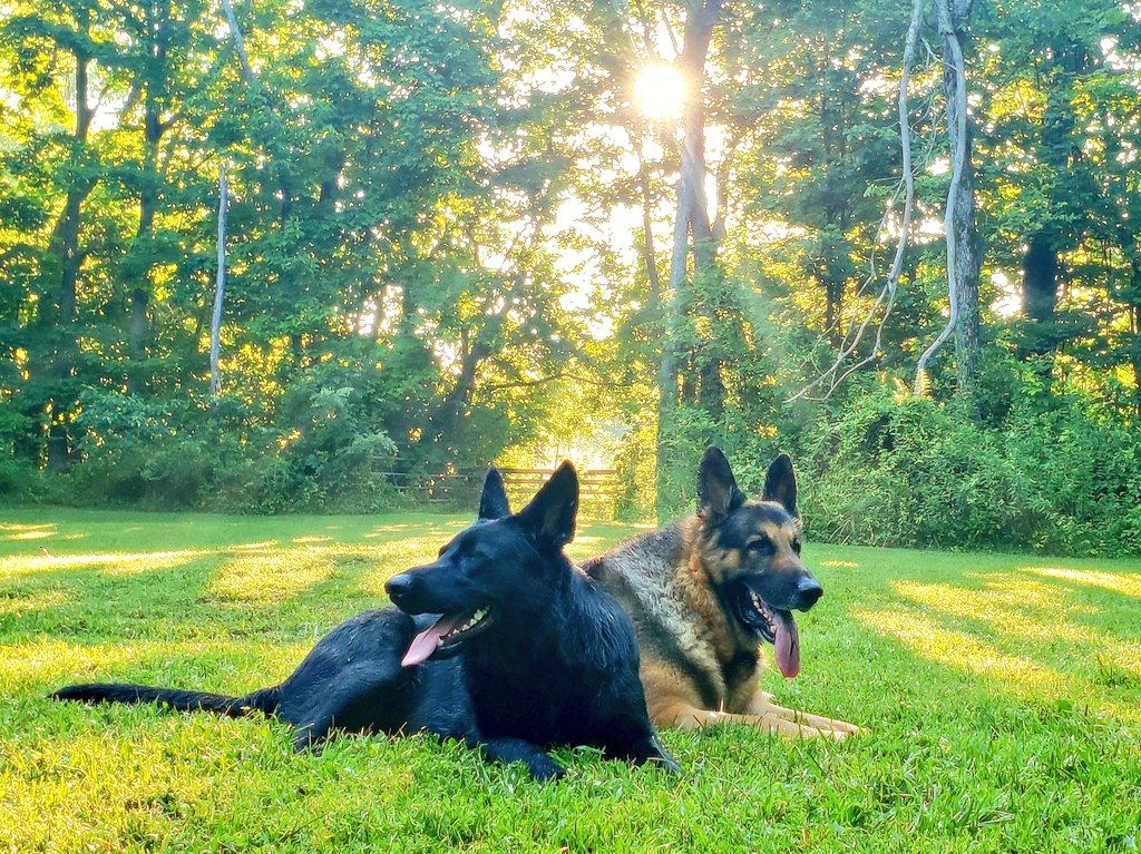 K9Garm's tweet photo. GM.

"Just living is not enough... One must have sunshine, freedom, and a little flower."
-H.C.A. https://t.co/VTvfPYNGOQ
