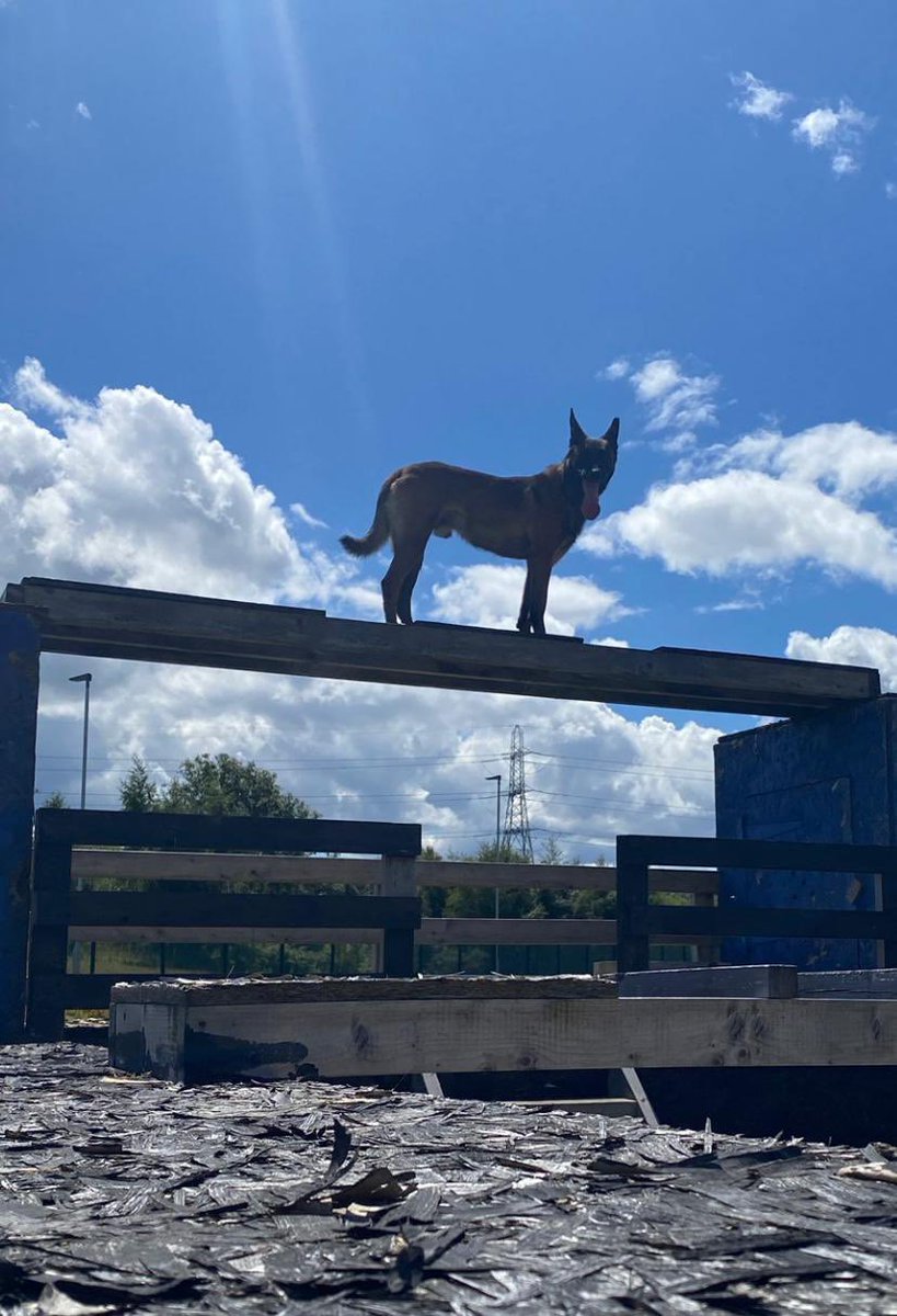 Mac, Coorie & Diesel tweet media