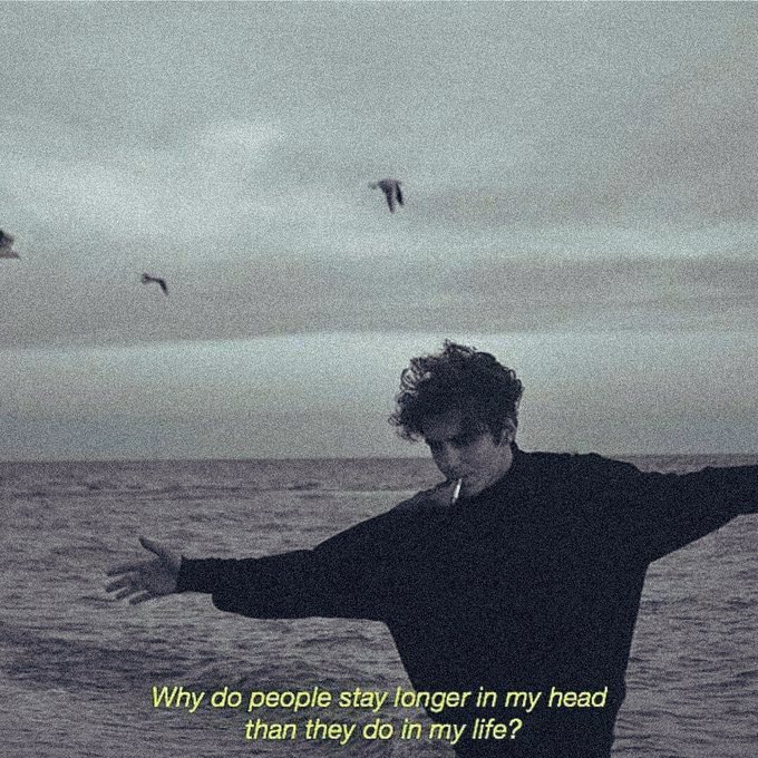 introvert tweet media