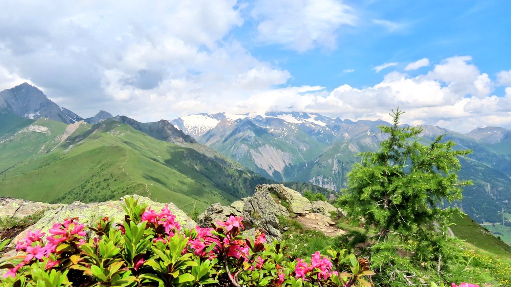 hansterbraak's tweet image. We zijn op 2500m. Boven de bergen wolken en straks mogelijk een bui. De komende dagen vrij zonnig en warmer.
#Kals #Grossglockner