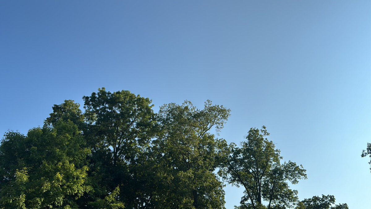 Rbtwebbintx's tweet image. I am in the Knoxville area. I’ve been monitoring the Geo engineering in this region for the last three years. Today, is day four with no spray. The weather has been significantly better. I don’t know how long it will last, but I am grateful for it.