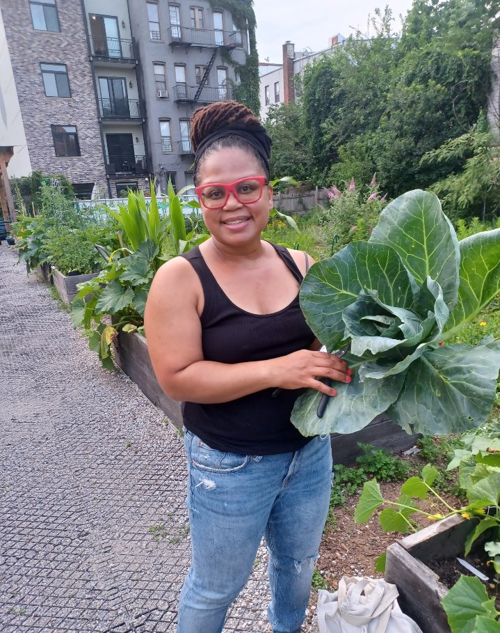 MarshallaRamos's tweet photo. This scorching heat has been good for some of my veggies and fruit crops and not so good for others. So appreciative for the rain today. #herbalista #gardeninginbrooklyn #growyourownfood What are you growing? https://t.co/Hlg3P94ec5