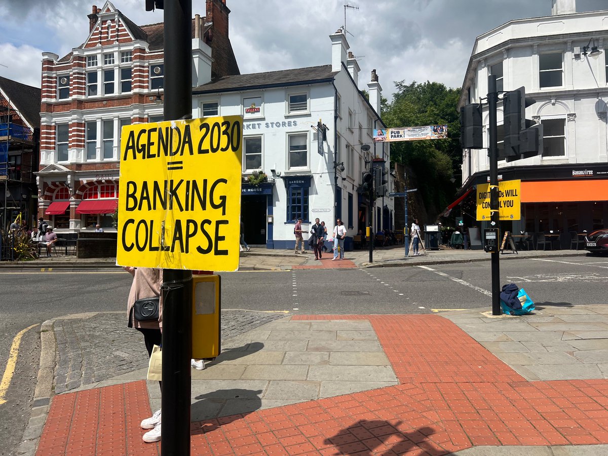 ReigateRabbit tweet media