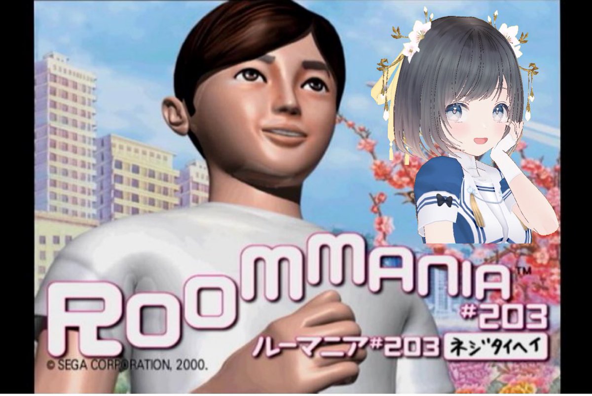 PS2 ルーマニア♯203 ニュールーマニアポロリ青春 ソフト(おまけ付き) PS2 ニュールーマニア ポロリ青春 動作確認済み ルーマニア#203