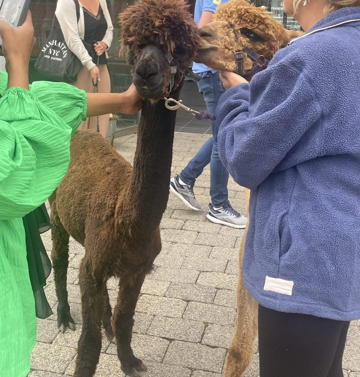 beebop2c's tweet photo. Call down to the @weareplatfform Wonderfest at the @The_Waterfront Lots of activities for everyone 😀 https://t.co/IhsfnnQN7m