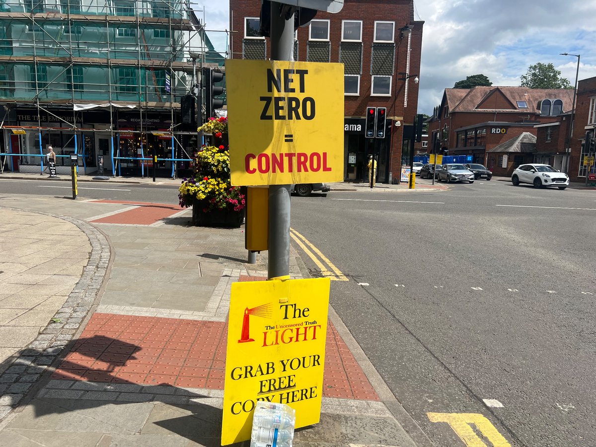 ReigateRabbit tweet media