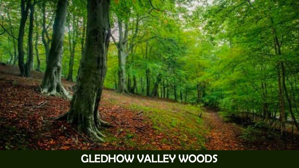 LeedsTours's tweet image. Gledhow Valley - steep sides, deep history.

Join me for an hour-long walking tour as part of the #GreenFair &amp;amp; in aid of @FGVWinfo 

14:30 Sunday 14 July

eventbrite.co.uk/e/gledhow-vall…