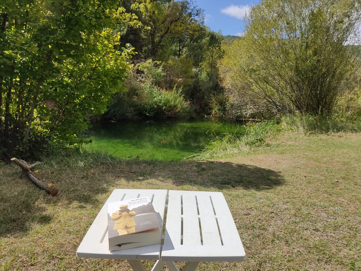 Cuenca5sentidos tweet media
