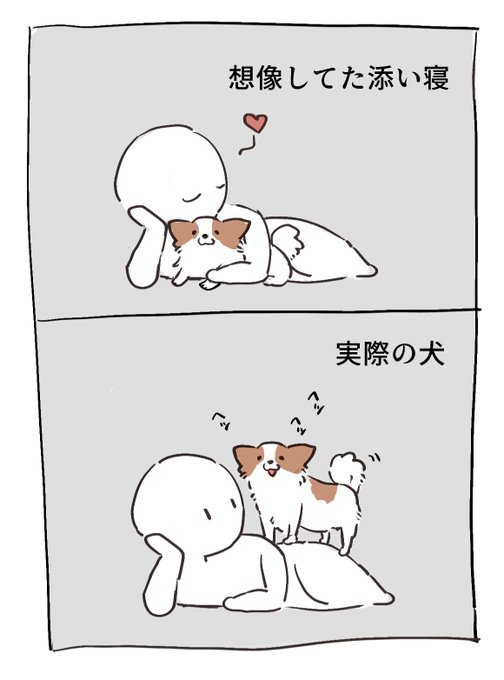 添い寝する犬の動画よすぎて「うちの犬ちゃんも添い寝してくれないかな～!」と思って横になってみたけど思ったのと違った