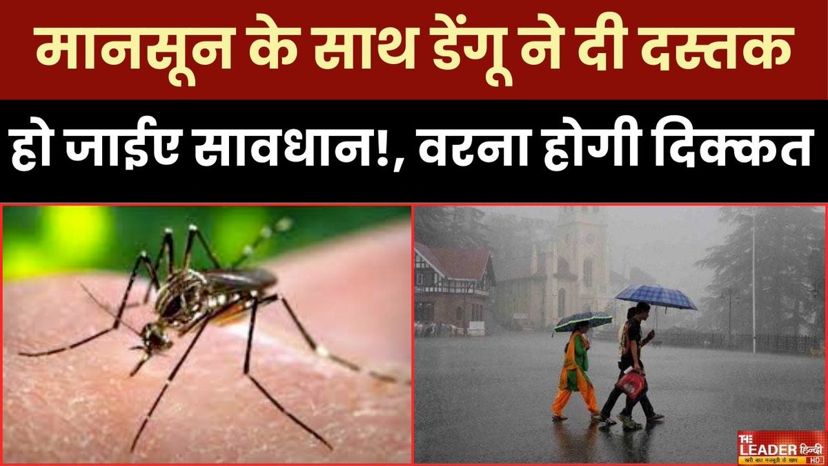 TheLeaderHindi's tweet image. मानसून में नहीं होना चाहते ‘डेंगू’ का शिकार, तो ऐसे करें बचाव। Heath Tips || Dengue

youtu.be/0NKyOLOFdak

#dengue #weatherchanges #monsoon #trendingnews #lastestnews #theleaderhindi #health #healthnews