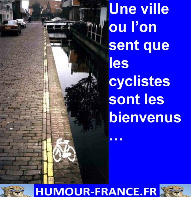 text alternatif