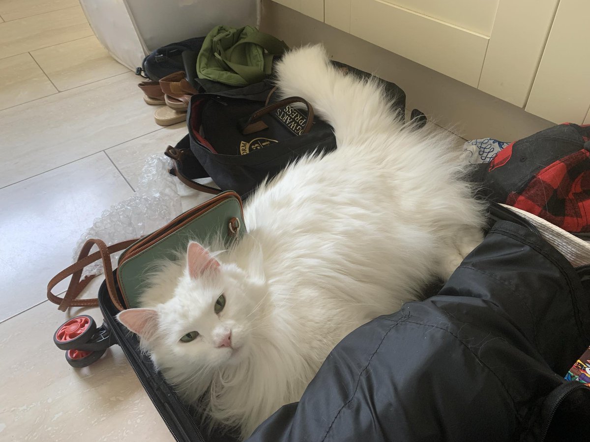 I love it when Mummy comes back from a holiday and I can help (or hinder) her unpacking. What fun ?!!