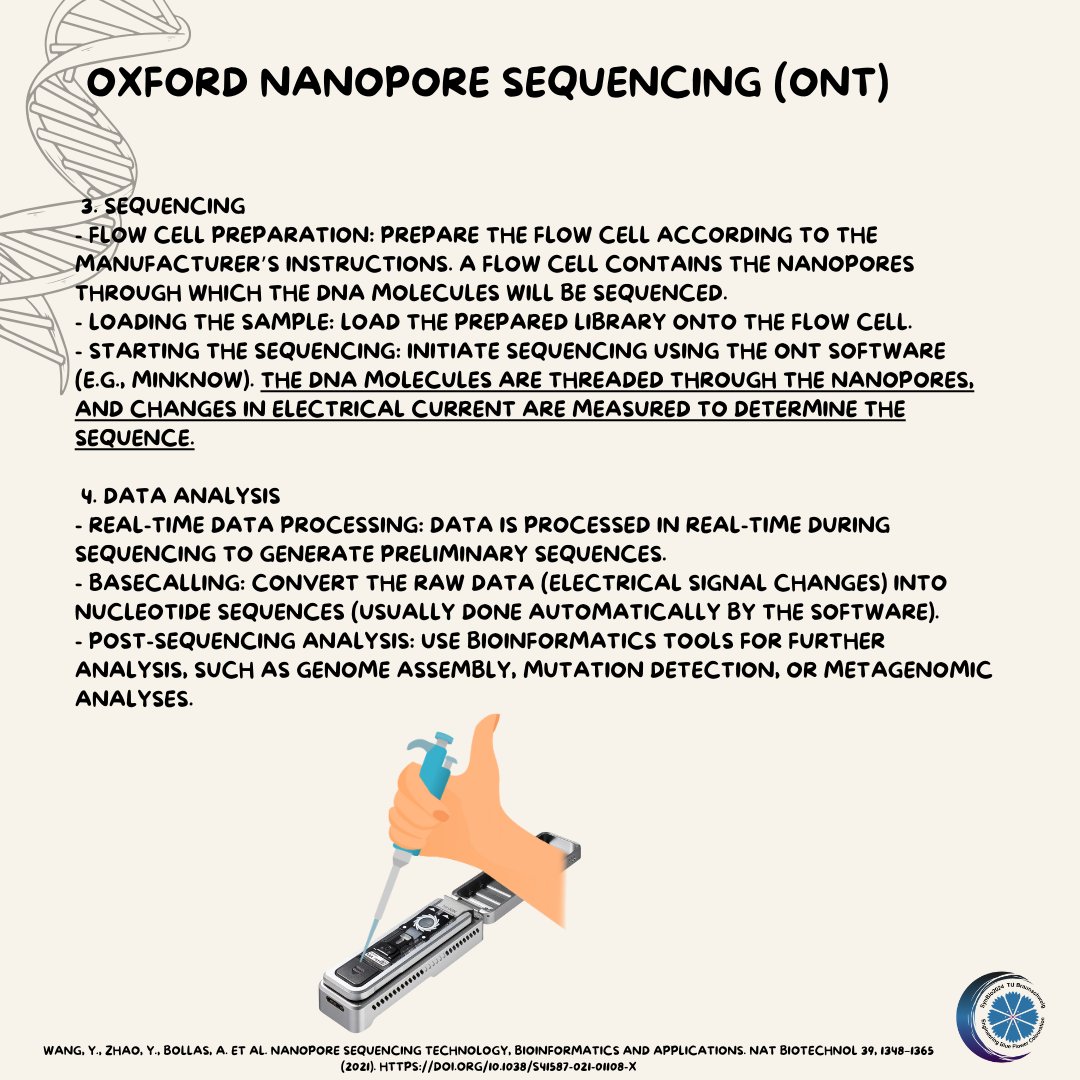 SynBio_24's tweet photo. 🔥ONT Nanopore Sequnecing🔥 

In the last picture you can see us sequencing the genome of the cornflower!👏🌱

#ONT #nanopore #synbio2024 #syntheticbiology #biology #dna #sequencingsaturday #sequencing
#tubraunschweig  @nanopre https://t.co/5WuEIJjHZp
