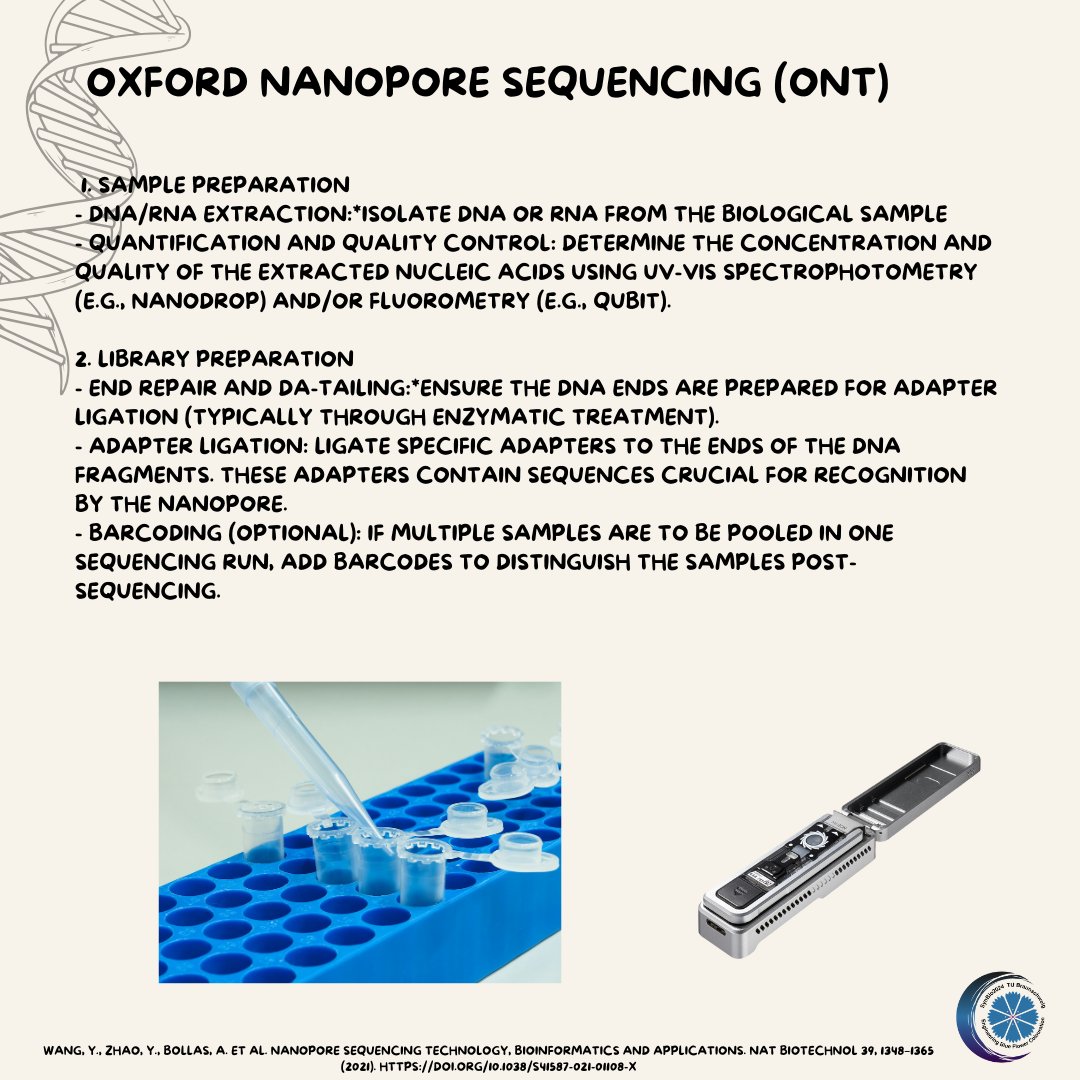 SynBio_24's tweet photo. 🔥ONT Nanopore Sequnecing🔥 

In the last picture you can see us sequencing the genome of the cornflower!👏🌱

#ONT #nanopore #synbio2024 #syntheticbiology #biology #dna #sequencingsaturday #sequencing
#tubraunschweig  @nanopre https://t.co/5WuEIJjHZp