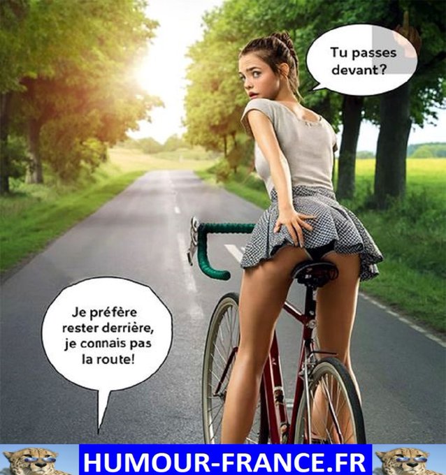 text alternatif