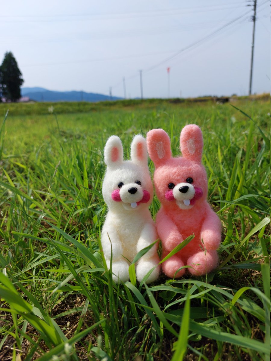 🐰7月20日21日東京ビックサイトで開催ハンドメイドインジャパンフェス2024に出展するらしいよ！
🐰それは大変だ！みんなで遊びにきてね🐾

ブース番号【D112】