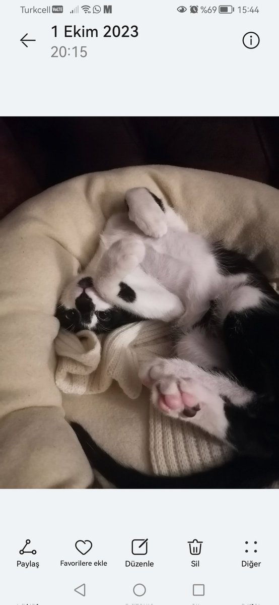 Gerçek insan iyiliği, ancak karşısında ki savunmasız güçsüz bir yaratıksa bütün saflığıyla özgürce ortaya çıkabilir.İnsan soyunun gerçek ahlaki sınavı, temel sınavı onun merhametine bırakılmış olanlara davranışlarında gizlidir:Hayvanlara...❤️ Milan Kundera #YasayıGeriÇek #Dokunma