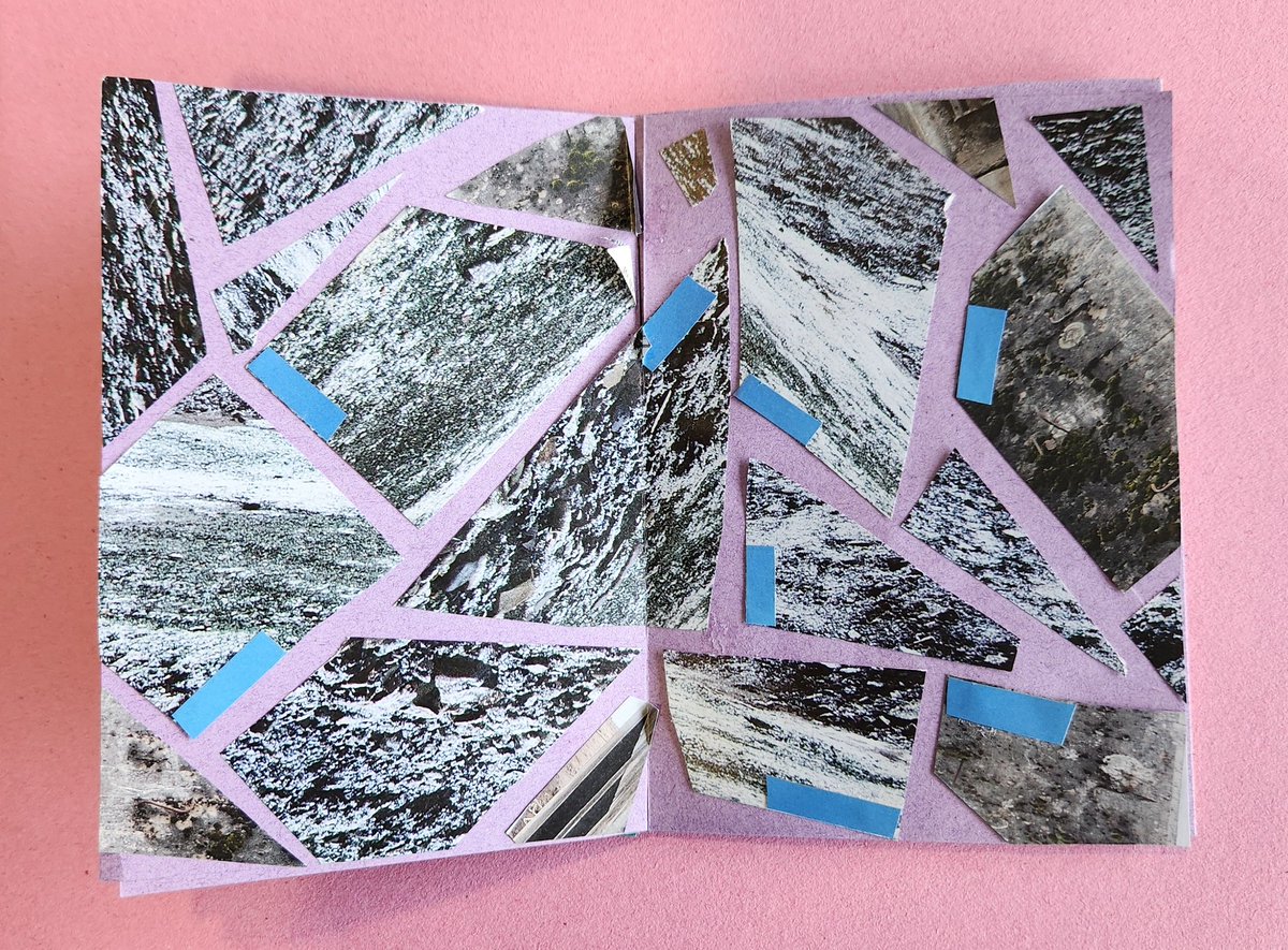 Manuela Di Franco tweet media