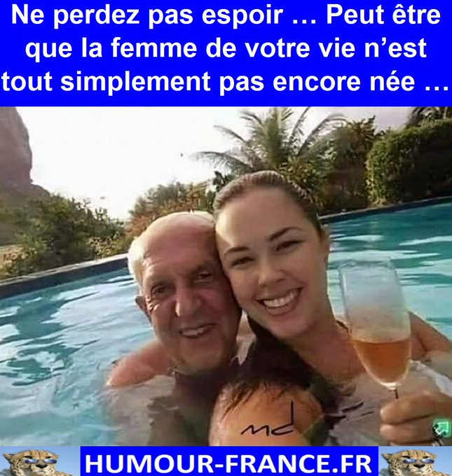 text alternatif