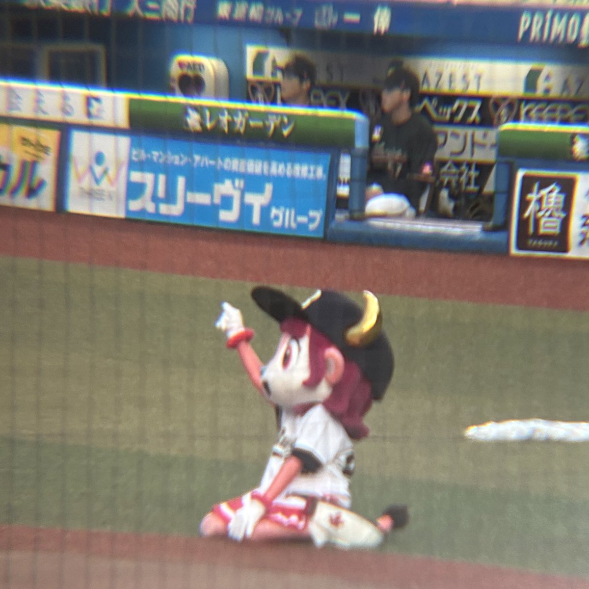 Orix8_8's tweet photo. いろんなべるちゃん撮れた！🤍 https://t.co/FWJBlyhD4y