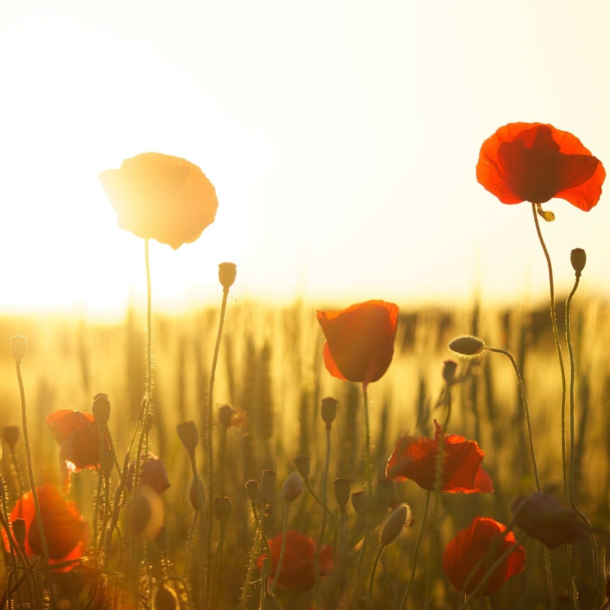 LTM_Schieck's tweet photo. Die #LEDERTASCHENMANUFAKTUR wünscht Ihnen einen wundervollen Start in die neue Augustwoche!

#sommertag,#wochenstart,#sommerzeit,#hochsommer,#wochenanfang,#endlichmontag https://t.co/X8NVLvt7tY