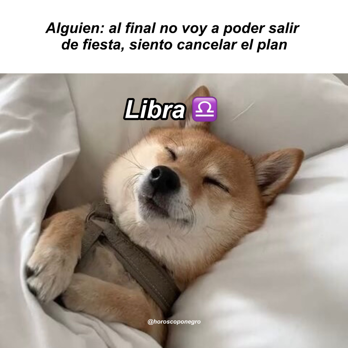 ¿Qué respuesta tendríais vosotras/os? 🔮