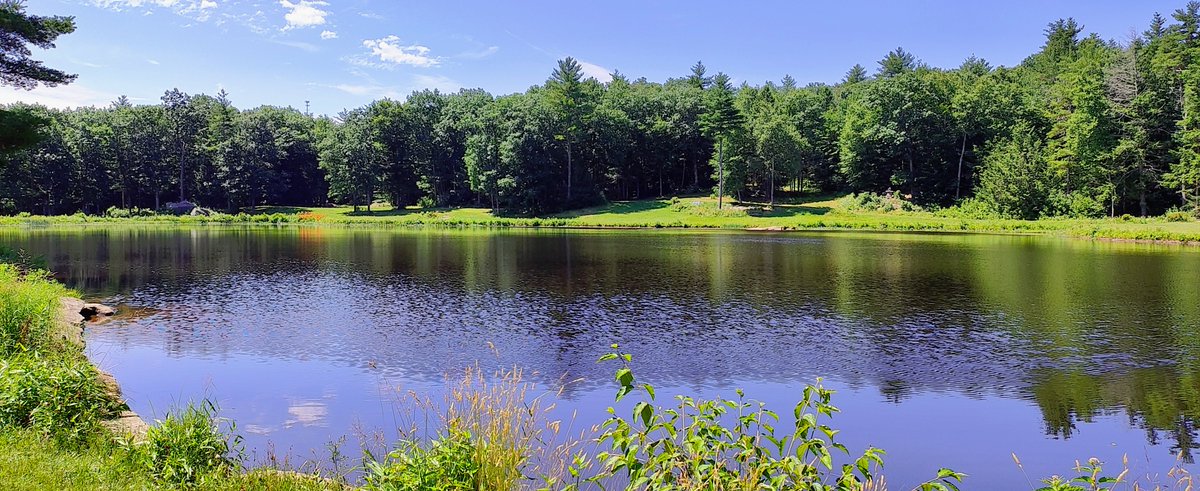 LorrieThomson's tweet photo. Belated  post from last weekend, in which I get used to riding gravel, discover  an off-trail gem of a pond, and realize I need more electrolytes. https://t.co/j9QC1eMJaL