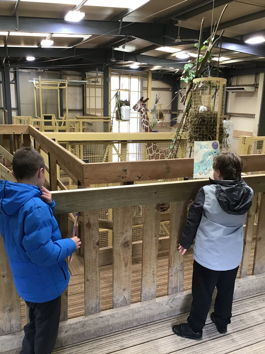 VenturersAc's tweet photo. Ladybird Class @briszooproject #whereeverythingspossible https://t.co/AU679Opq2d