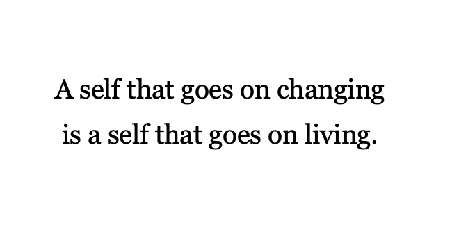 Hermione Lee (on Woolf):