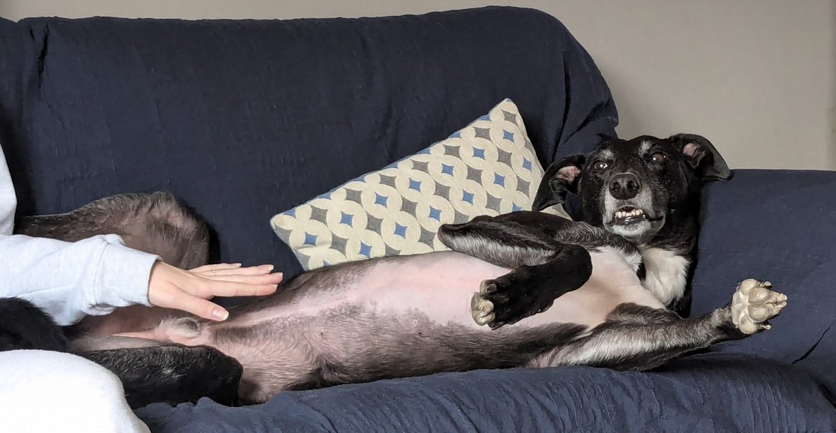 When your human walks in and catches you with the younger human. I was thinking about you the whole time, hu-mum.