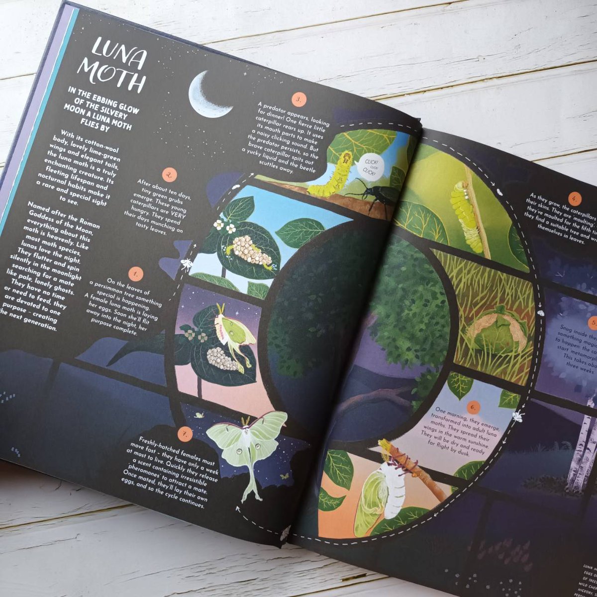 Booksmith2014's tweet photo. Round and Round Goes Mother Nature: 48 Stories of Life Cycles Around the World
.
https://t.co/9DiNV2iZLE
.
#Thebooksmith #Bookshop #bookstores #ร้านหนังสืออิสระ #illustrated #kidsbooks #bookforkids #childrenbook https://t.co/iWXtoI5Ats