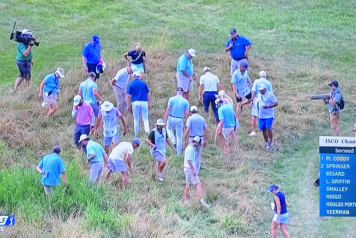 Rick Golfs tweet media