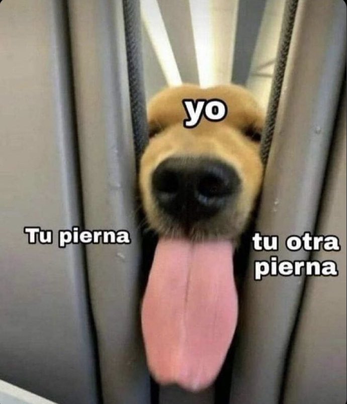 Layon21203's tweet photo. Si el Alma se te va!, Con esto Te la regreso👅🍑🔥💦

#Hot #twitterposts #RTs https://t.co/BzwLnaVp3E