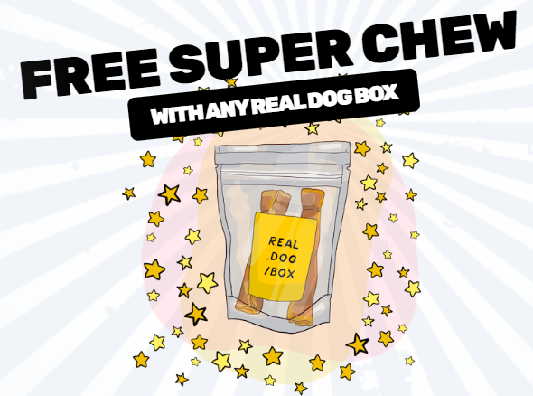 ThePetBlogLady's tweet image. FREE SUPER CHEW!  real.dog/offers/free-su… #subscriptionboxes #dogs