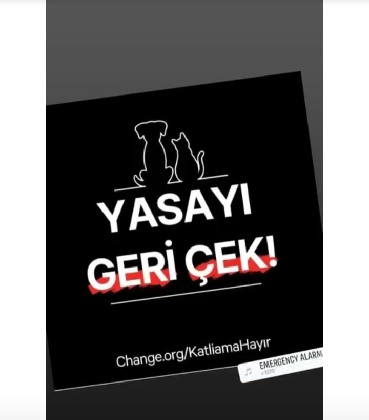 aysen arslangiray (@aysenarslangira) on Twitter photo 