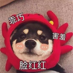 ixelps's tweet image. 想看追追。。。
#帅哥 #鸡巴 #鉴🐔 #腹肌 #男高 #男大学生 #男菩萨 #女菩萨