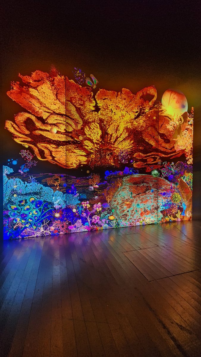 EphemeralMedia's tweet image. Everything from generative laser art shows in the forest to robotics stone drilling, to quirky #AI, bioart, performance, musique concrète, #VR, interdisciplinary panels &amp;amp; multisensory provocations at the intersection of art, science &amp;amp; technology at Eufonic @eufonic_fest !