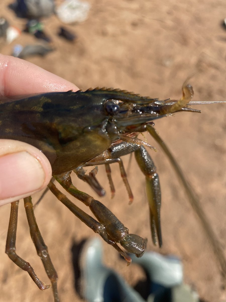 Josie South tweet media