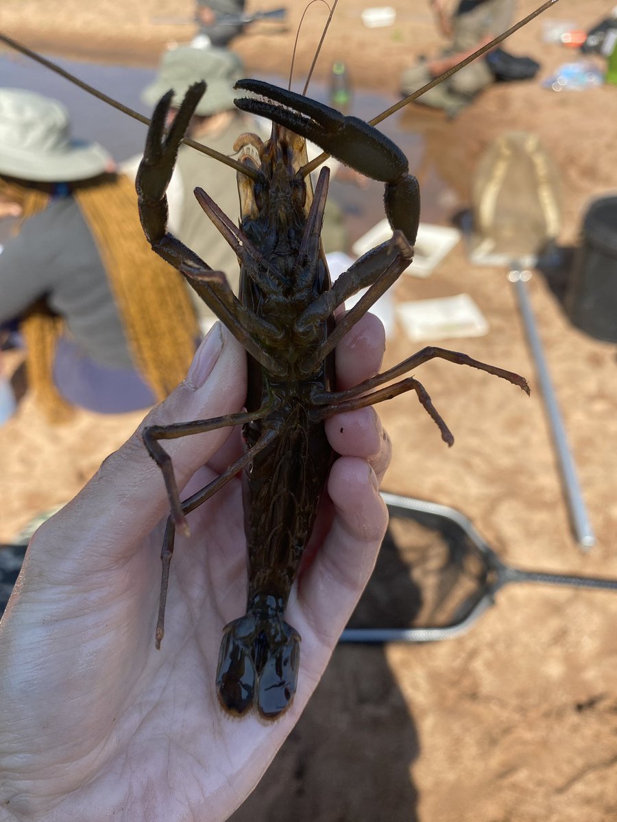 Josie South tweet media