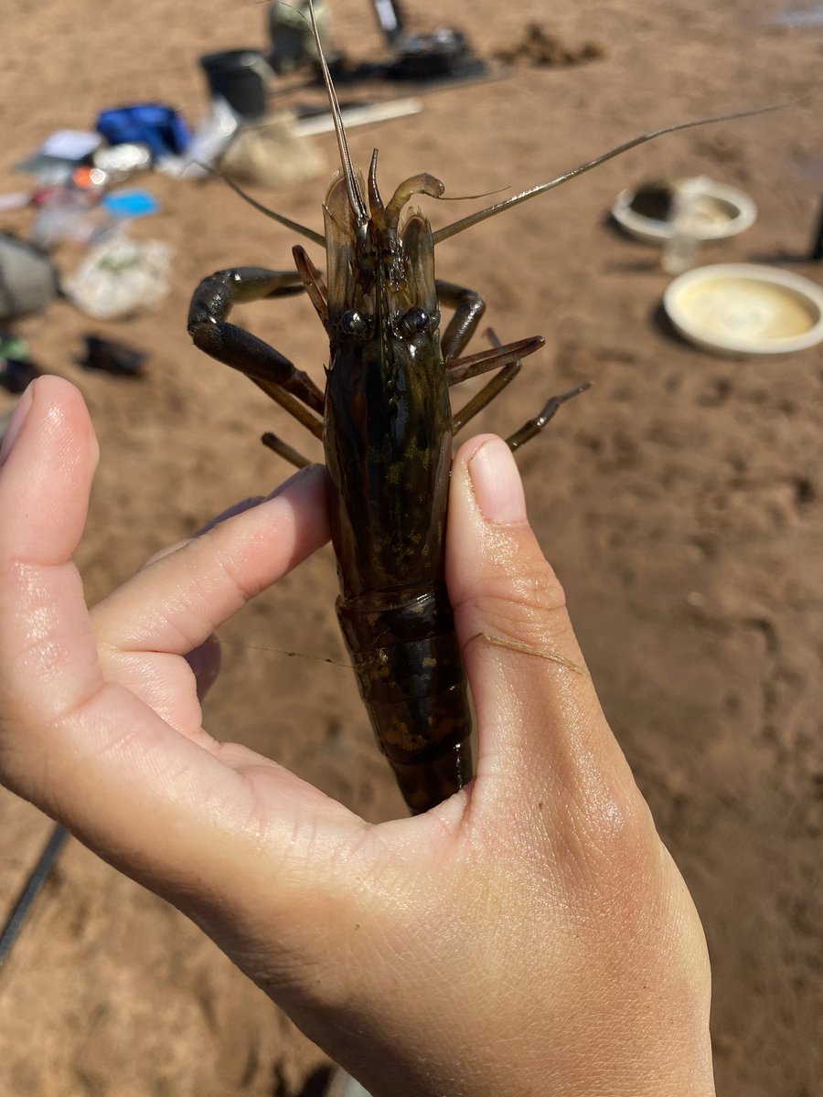 Josie South tweet media