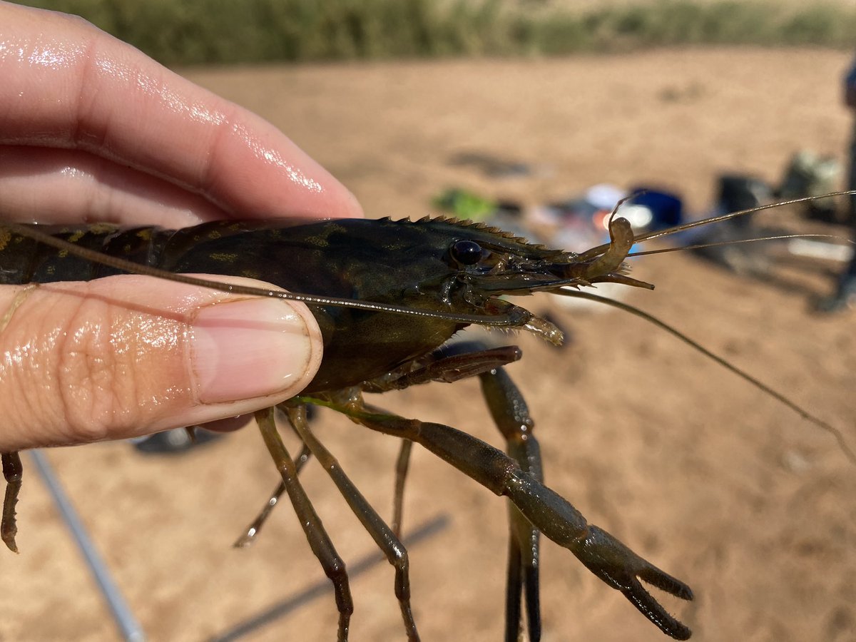 Josie South tweet media