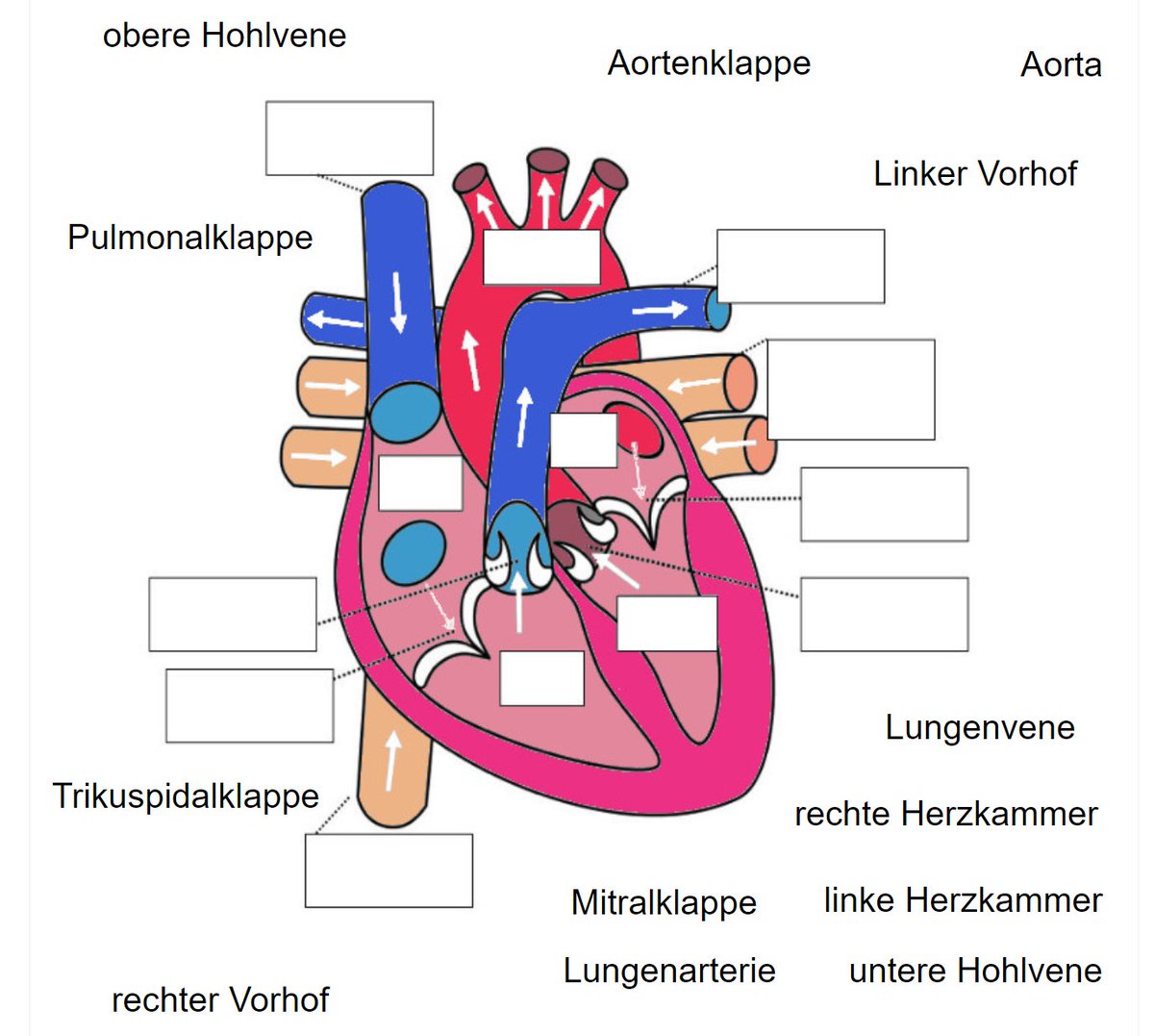ZUM-Apps tweet media