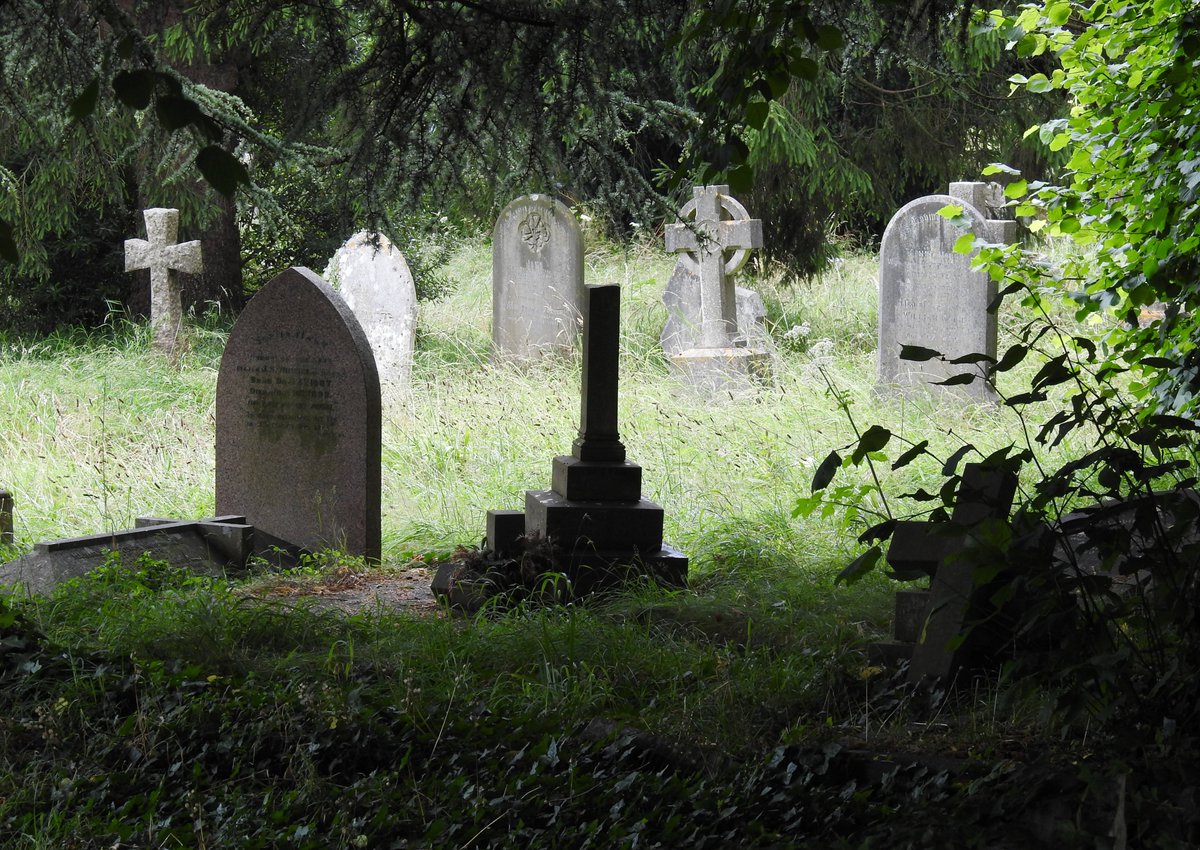 A variety of headstones at the lower Old Cemetery: July 2024 #Teignmouth #Devon #cemetery #Victorian