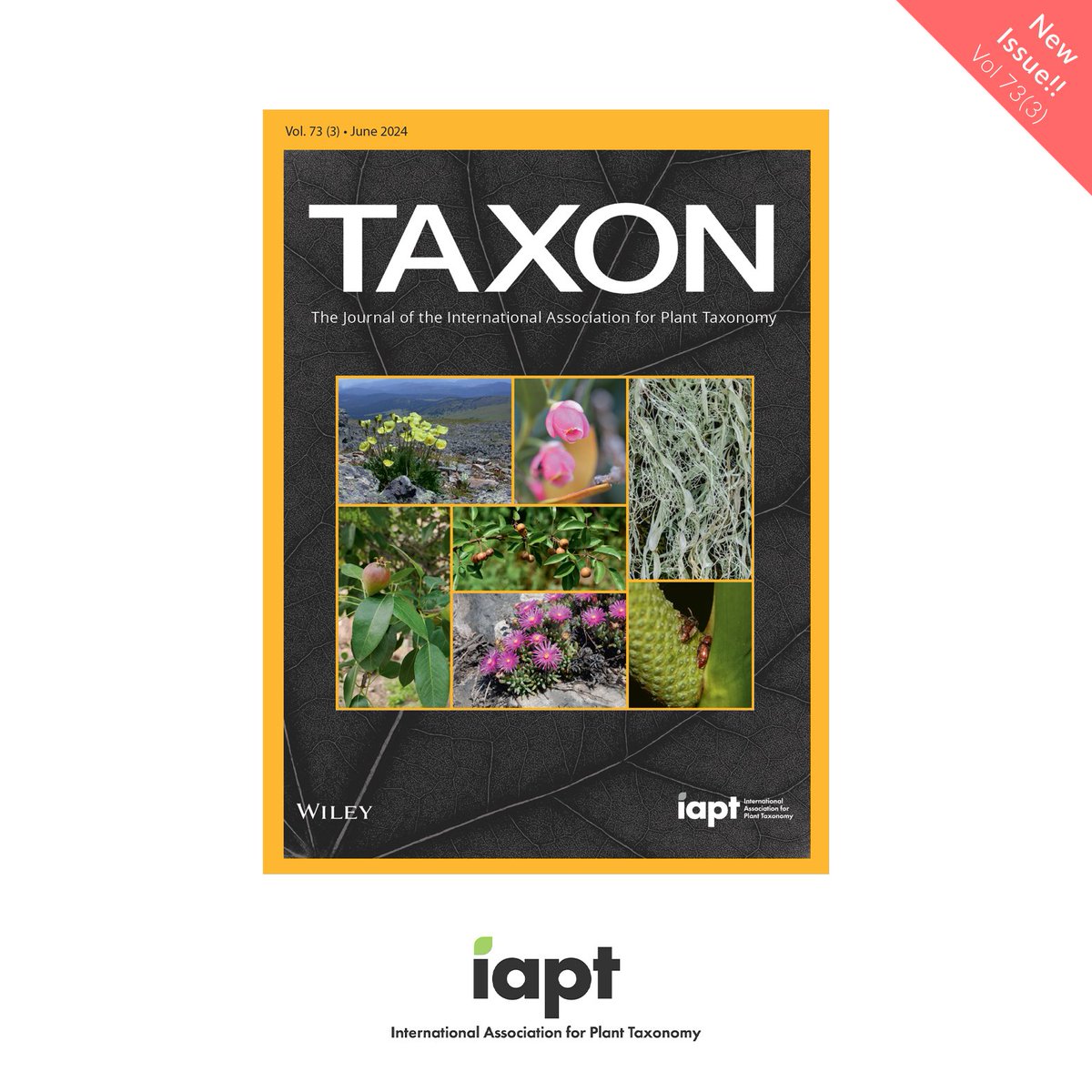 iaptglobal's tweet photo. Check out the June/2024 issue of TAXON [73(3)]! 🌸🌴🍄
https://t.co/3h2Q4hPlaF https://t.co/aEAzl37ksa